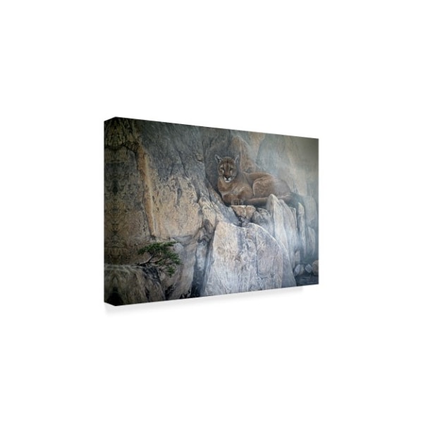 Ron Parker 'Mountain Mists Cougar' Canvas Art,16x24